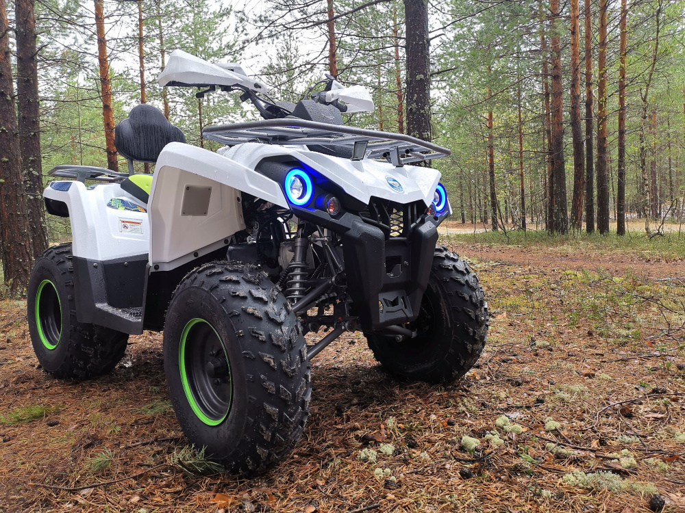 Квадроцикл PROMAX RENEGADE 280 (2025) в Ижевске