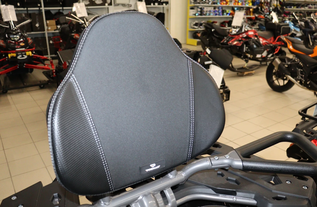 Квадроцикл PROMAX RENEGADE 300 LONG WINCH PRO (2025) в Ижевске