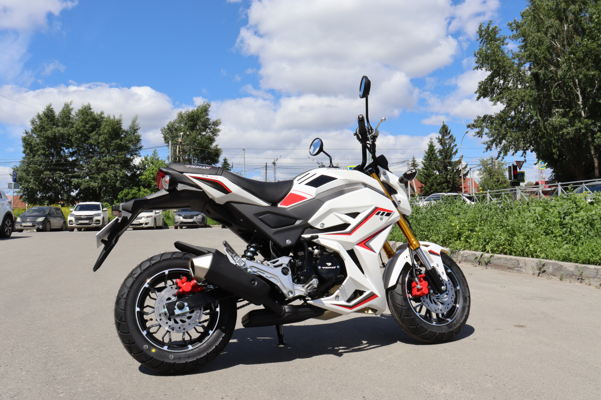 Мотоцикл PROMAX STRYKER 200(49) 2.0 в Ижевске