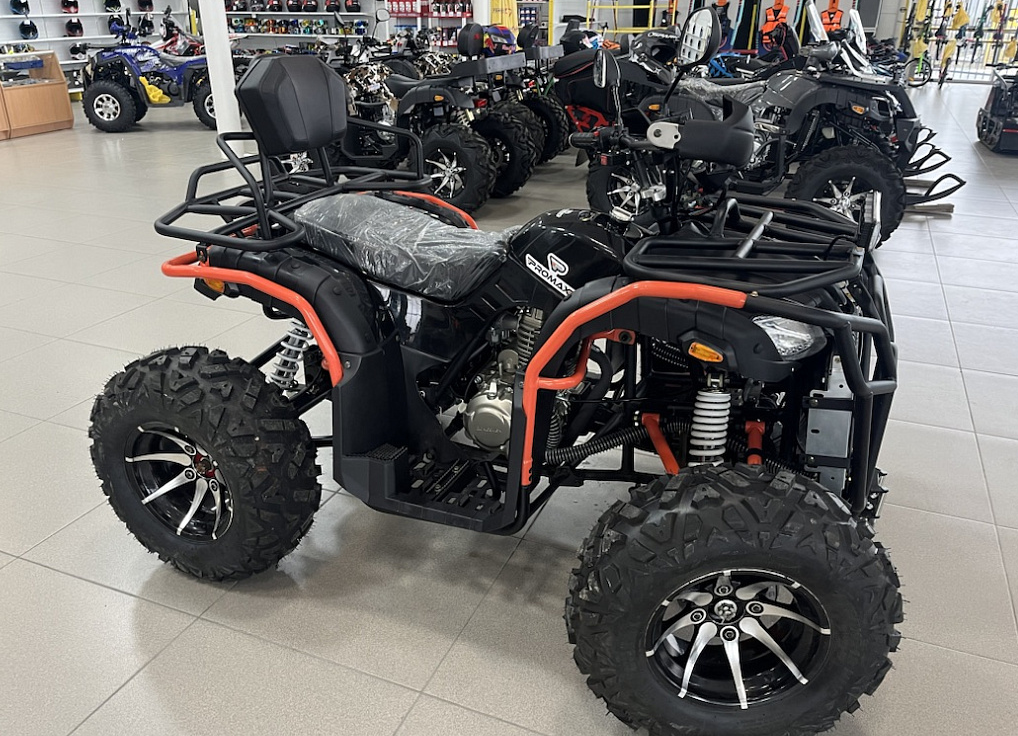 Квадроцикл PROMAX 300 4X4 ALL ROAD в Ижевске