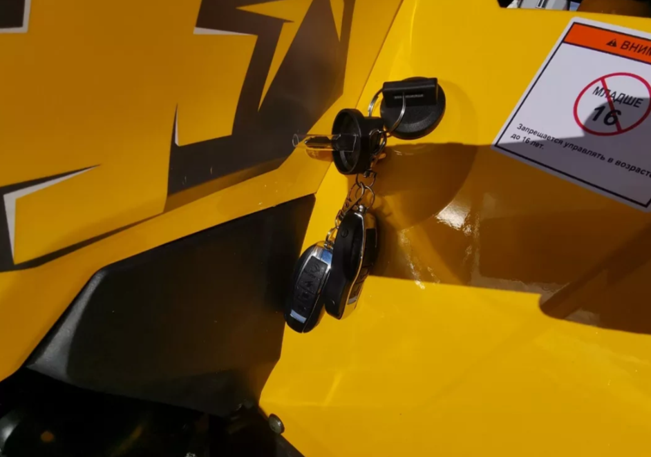 Квадроцикл MOTOLAND (МОТОЛЕНД) VOX200 WILD TRACK X PRO (баланс. вал) в Ижевске