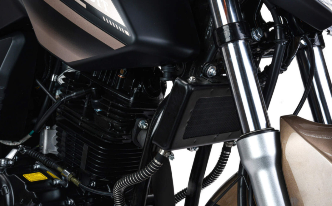 Мотоцикл MOTOLAND (МОТОЛЕНД) 300 BANDIT в Ижевске