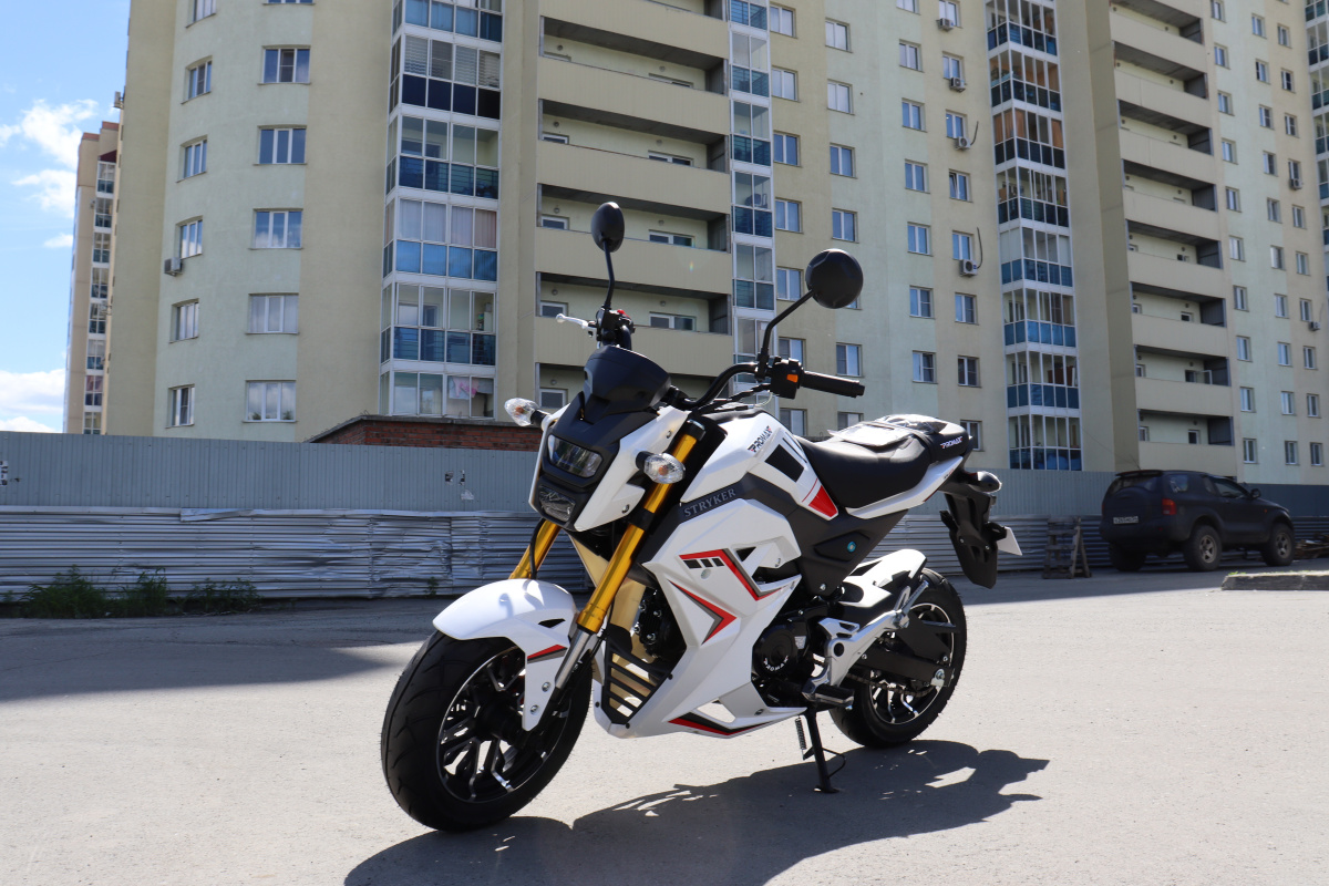 Мотоцикл PROMAX STRYKER 200(49) 2.0 в Ижевске