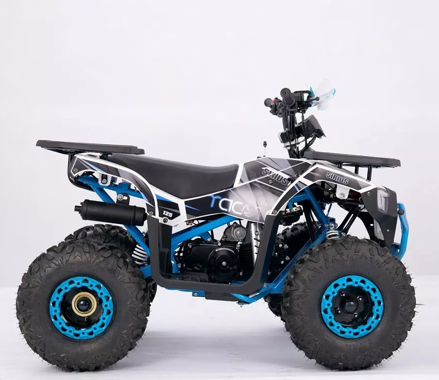 Квадроцикл YACOTA SIRIUS 110 в Ижевске