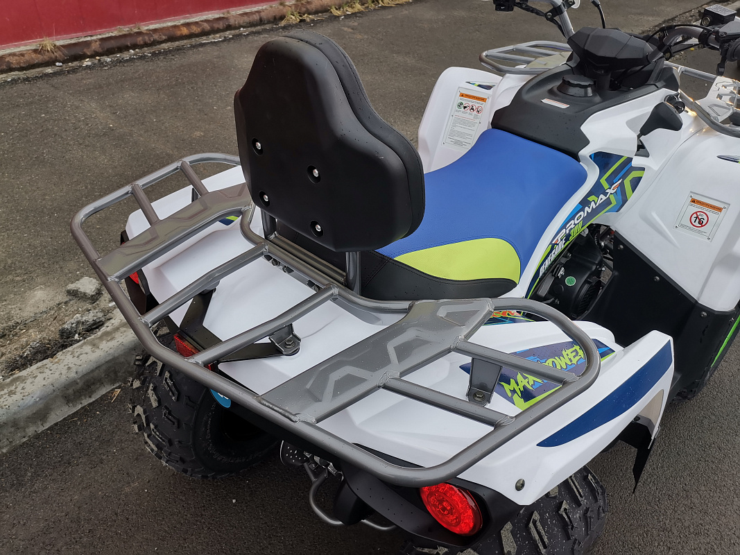 Квадроцикл PROMAX RENEGADE 280 LUX (2025) в Ижевске