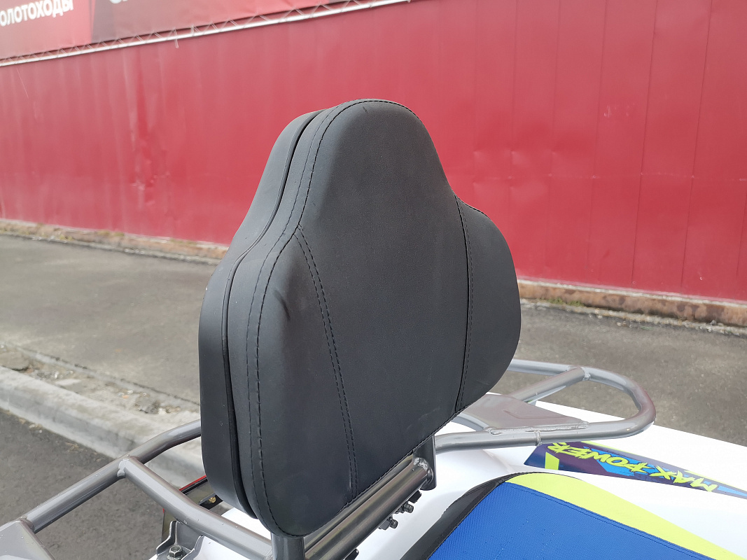 Квадроцикл PROMAX RENEGADE 280 LUX (2025) в Ижевске