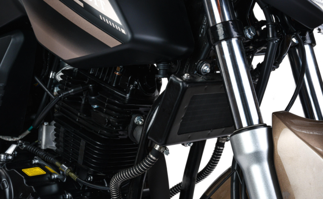 Мотоцикл MOTOLAND (МОТОЛЕНД) 300 BANDIT в Ижевске