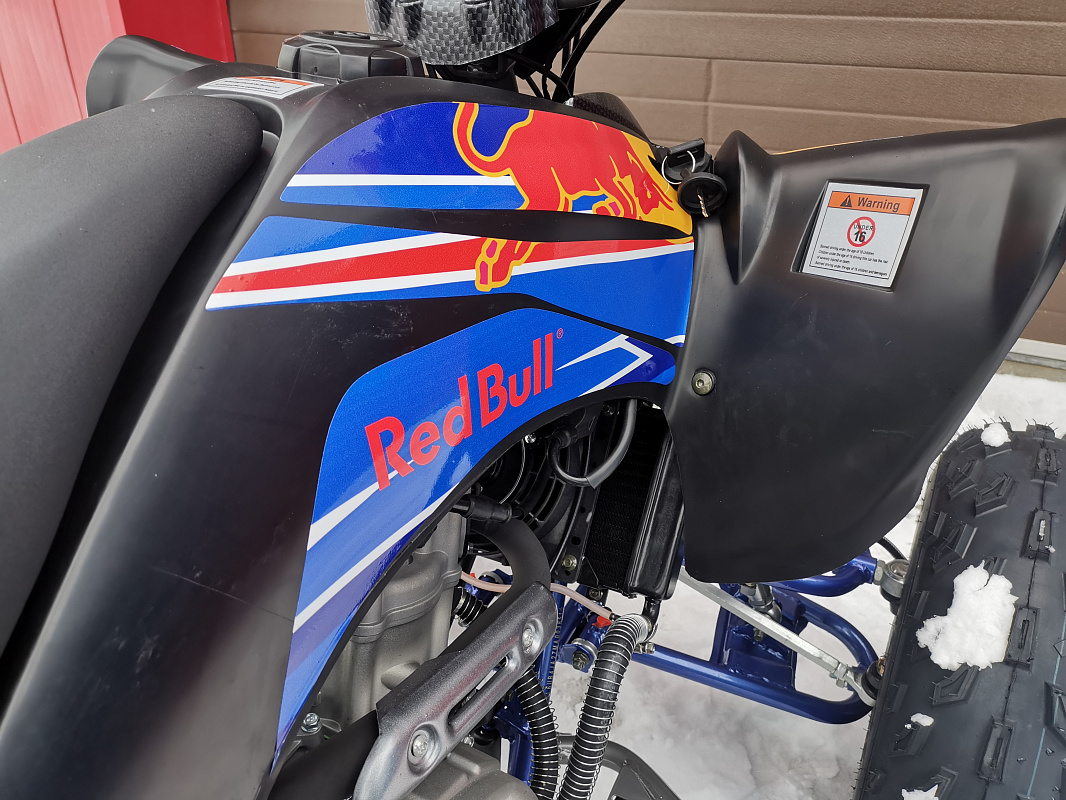 Квадроцикл PROMAX RAPTOR 300 NEW RedBull в Ижевске