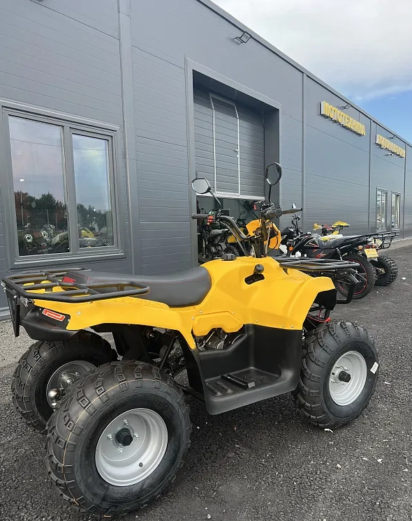 КВАДРОЦИКЛ IRBIS ATV 250  в Ижевске