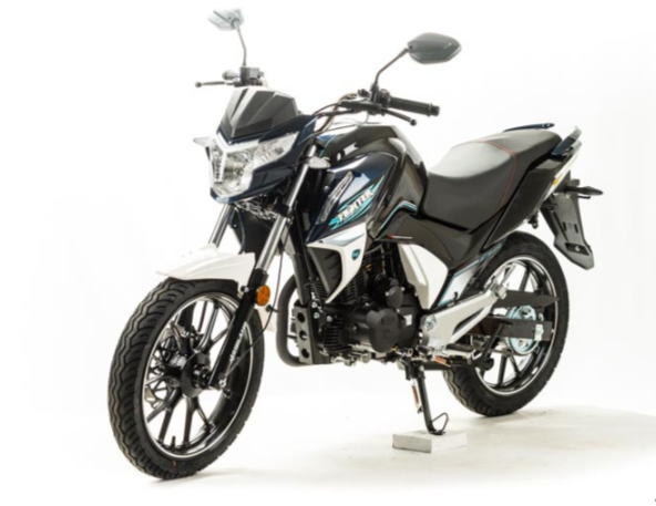 Мотоцикл MOTOLAND (МОТОЛЕНД) FIGHTER 250 в Ижевске