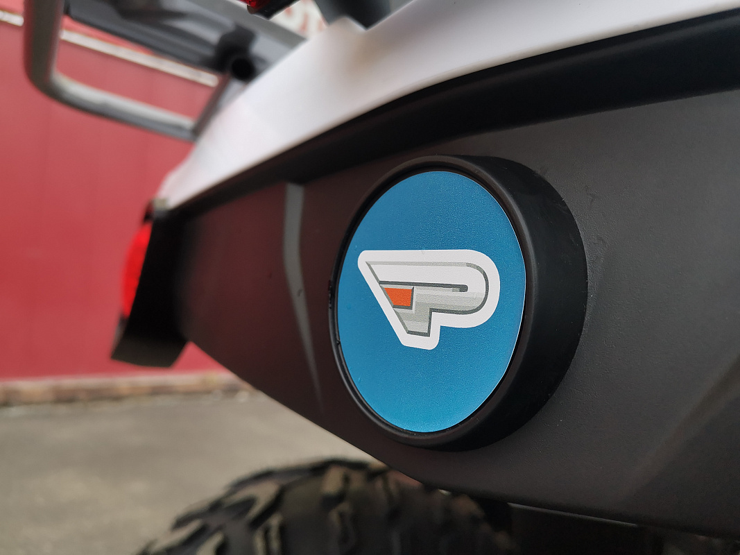 Квадроцикл PROMAX RENEGADE 280 LUX (2025) в Ижевске
