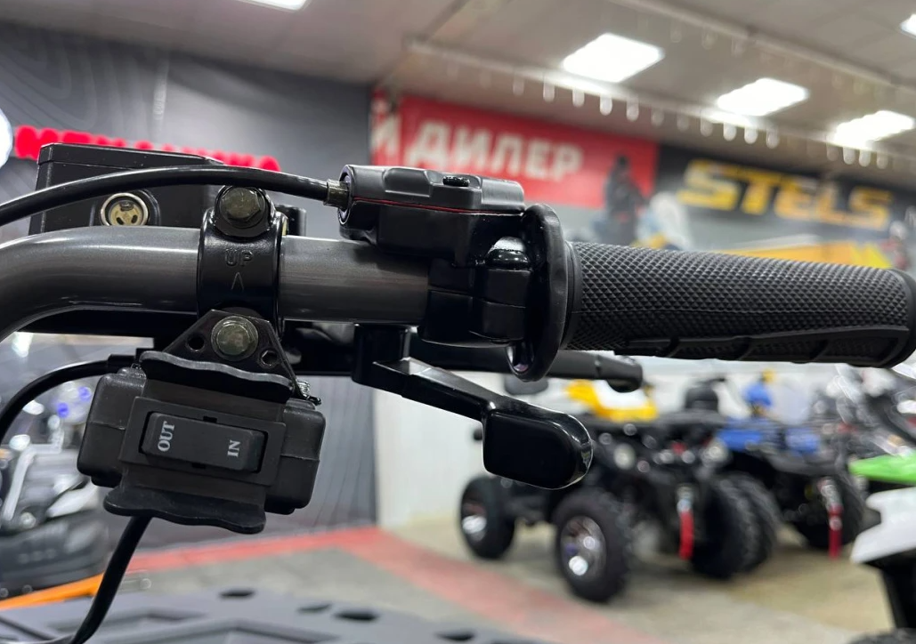 Квадроцикл PROMAX RENEGADE 300 LONG WINCH PRO (2025) в Ижевске