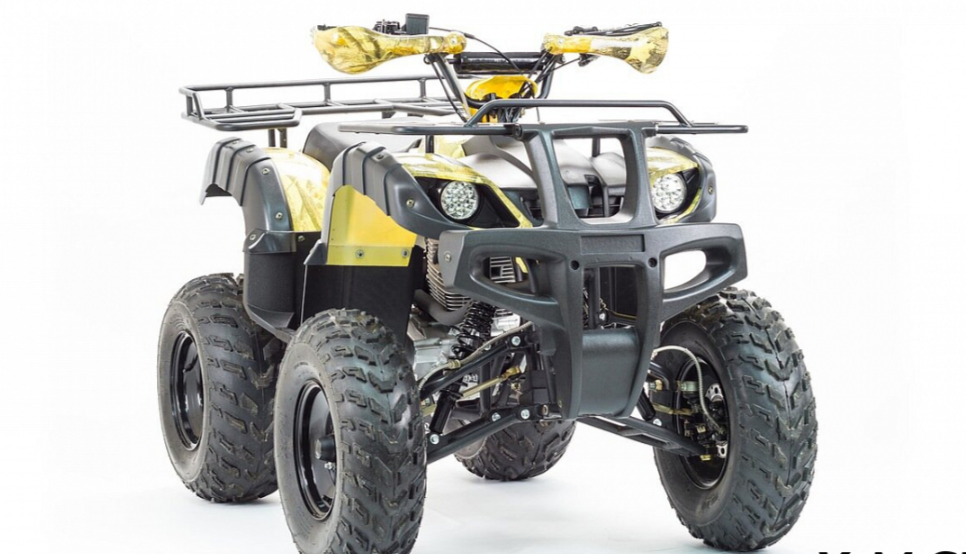 Квадроцикл MOTOLAND (МОТОЛЕНД) 250 ADVENTURE в Ижевске