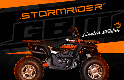 Квадроцикл GBM STORMRIDER 320 NEW LUX в Ижевске