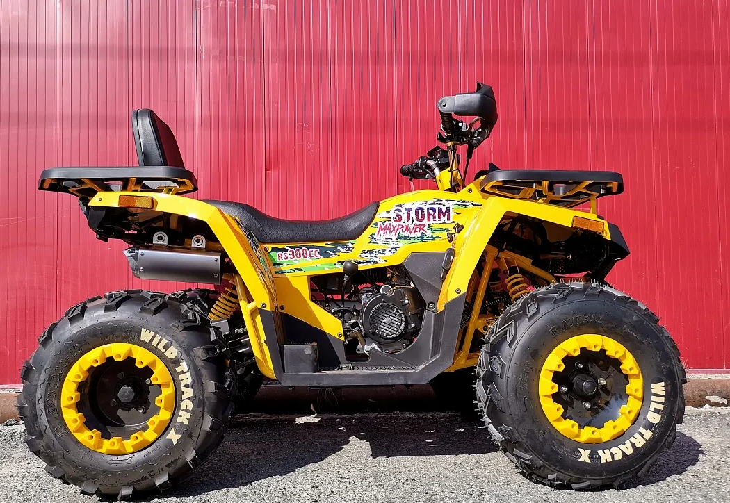 Квадроцикл PROMAX STORM 280 LUX в Ижевске