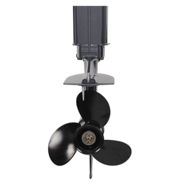 Лодочный мотор ALLFA CG Т40FW S в Ижевске