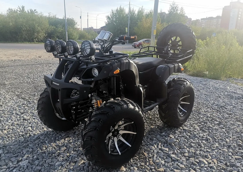 Квадроцикл PROMAX LEO 300 Max (кардан) в Ижевске