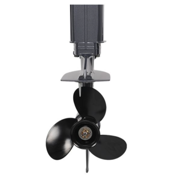 Лодочный мотор ALLFA CG Т40FWT S в Ижевске