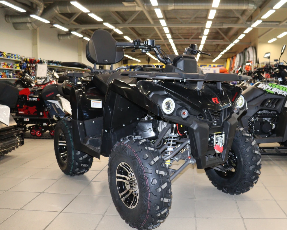 Квадроцикл PROMAX RENEGADE 300 LONG WINCH PRO (2025) в Ижевске