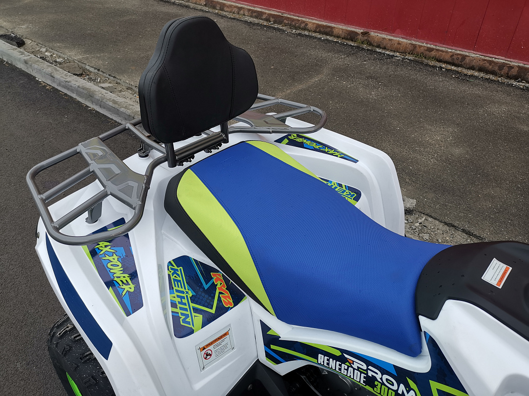 Квадроцикл PROMAX RENEGADE 280 LUX (2025) в Ижевске