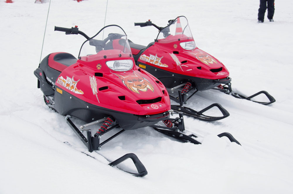 Снегоход РМ ТАЙГА РЫСЬ в Ижевске