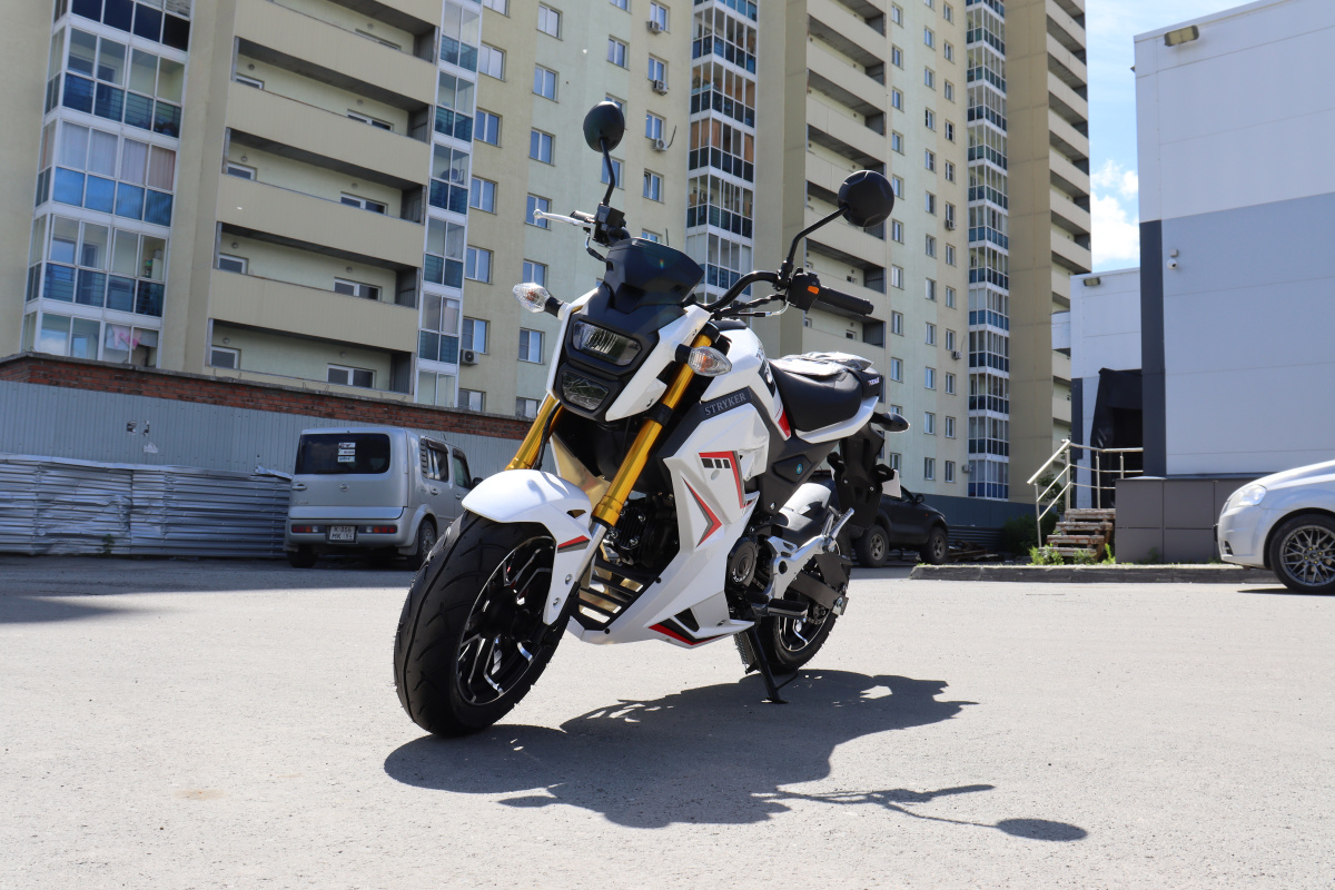 Мотоцикл PROMAX STRYKER 200(49) 2.0 в Ижевске