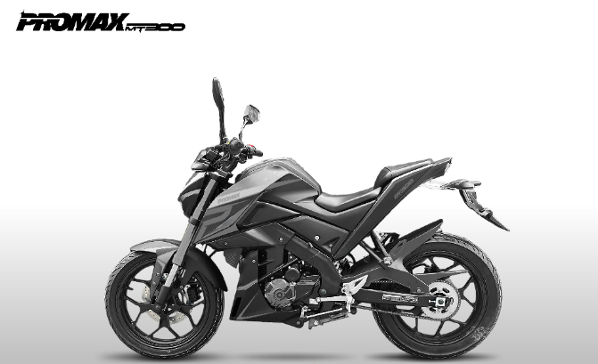 Мотоцикл PROMAX MT300 в Ижевске