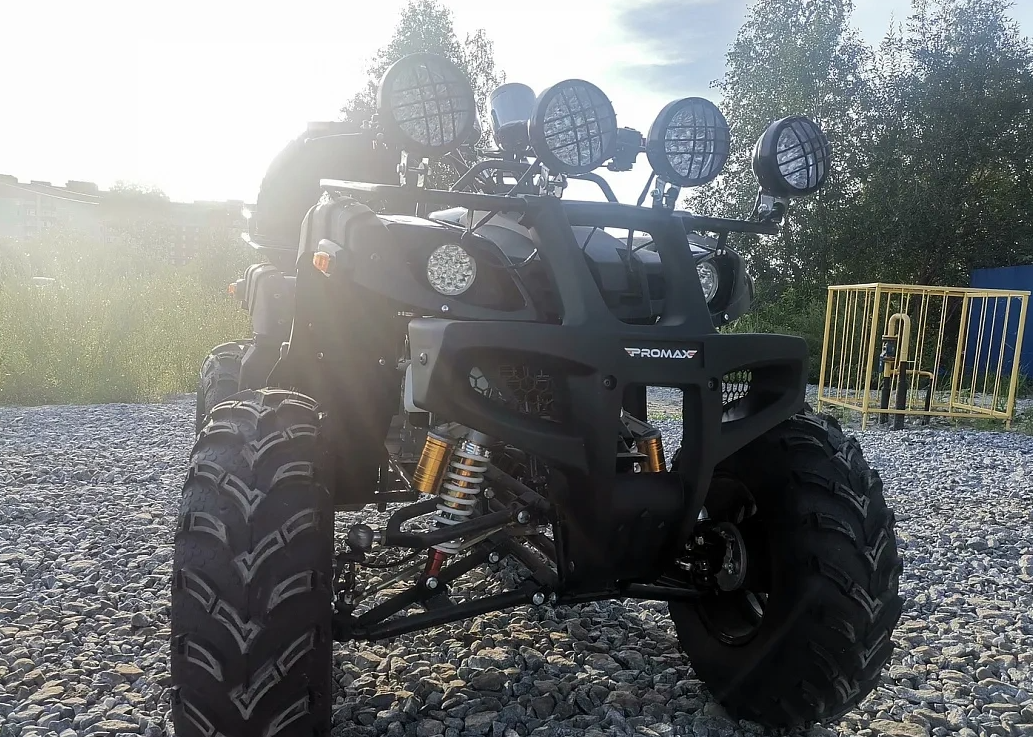 Квадроцикл PROMAX LEO 300 Max (кардан) в Ижевске