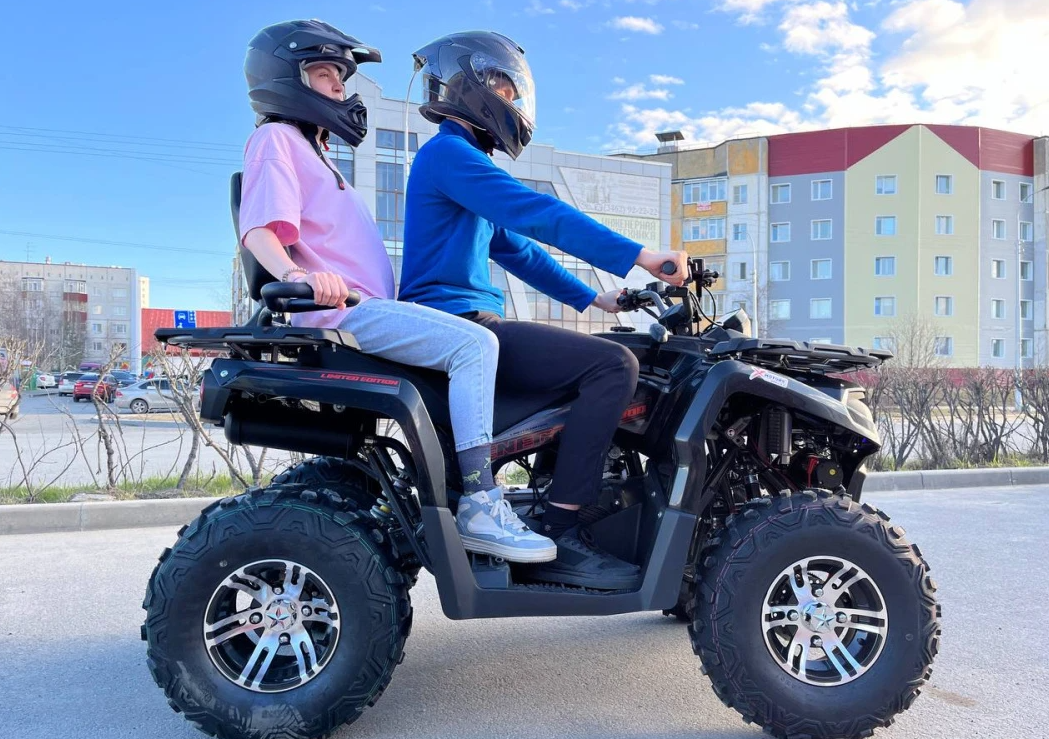 Квадроцикл PROMAX RENEGADE 300 LONG WINCH PRO (2025) в Ижевске