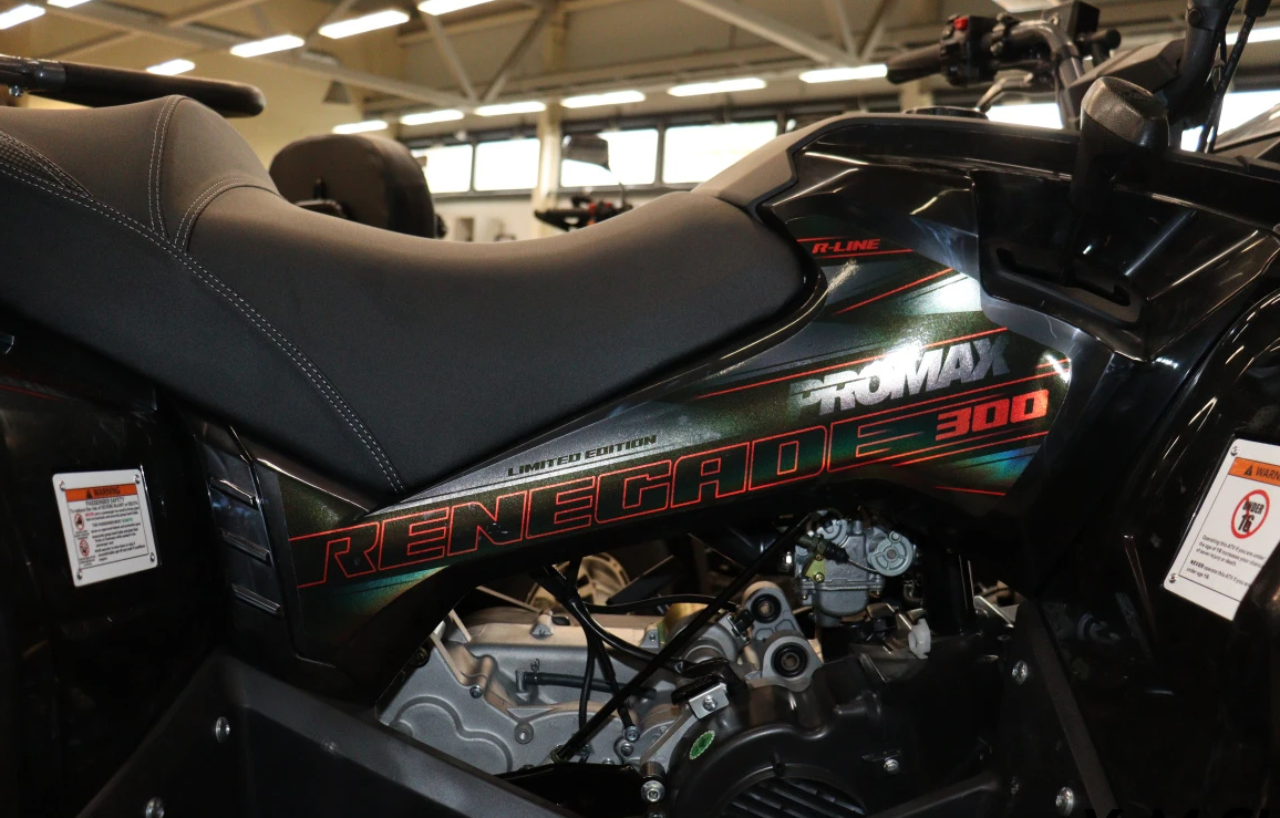 Квадроцикл PROMAX RENEGADE 300 LONG WINCH PRO (2025) в Ижевске