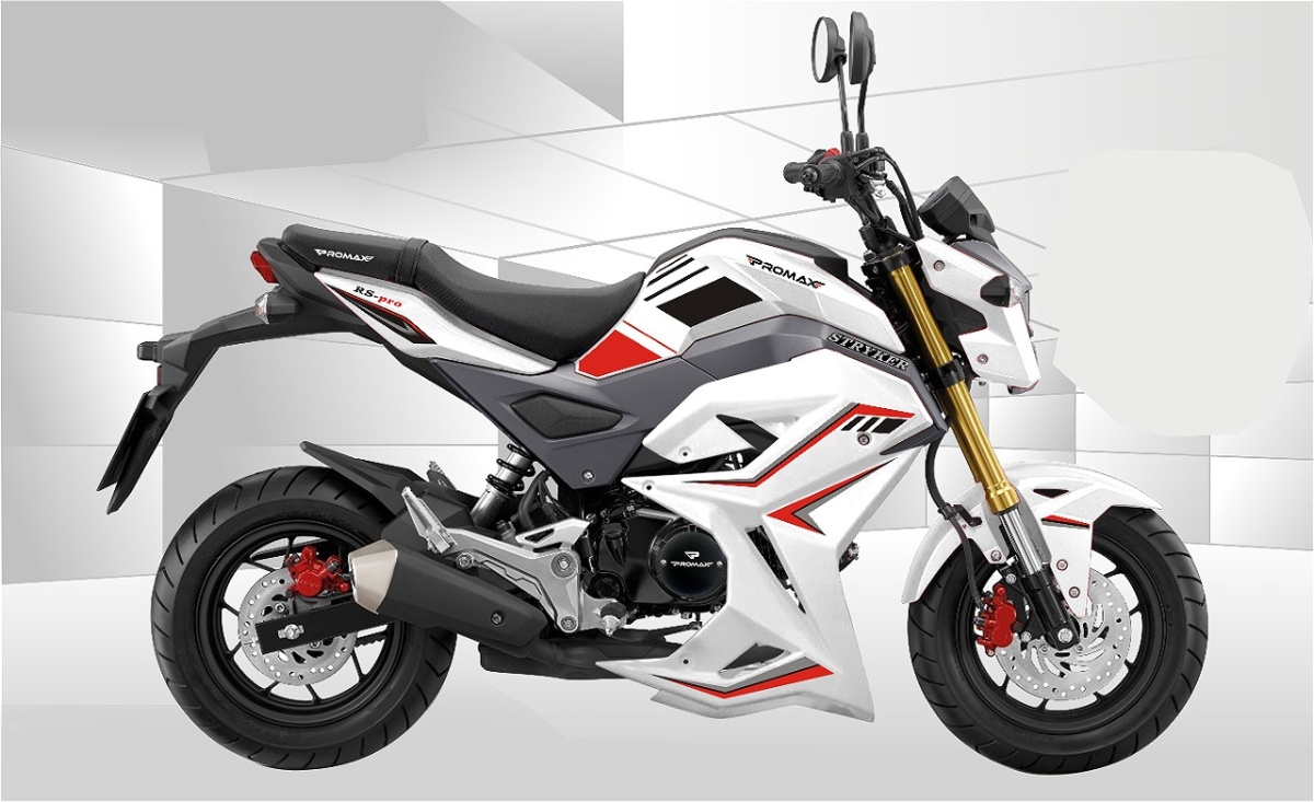 Мотоцикл PROMAX STRYKER 200(49) 2.0 в Ижевске