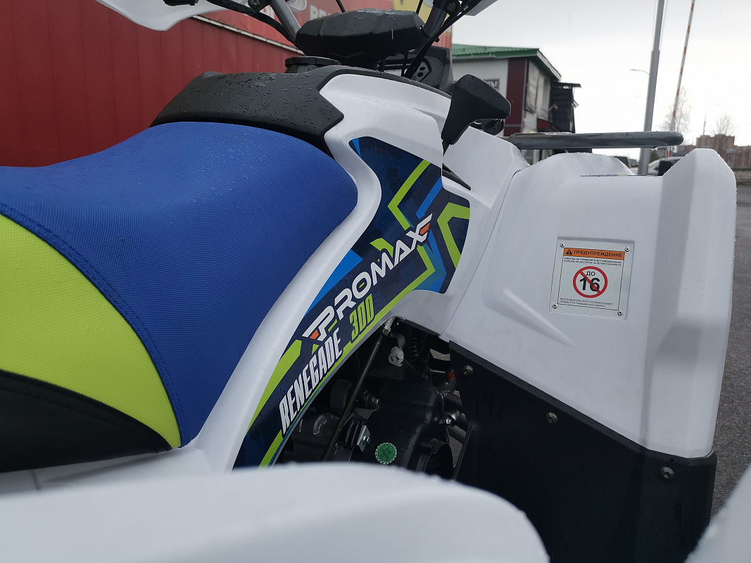 Квадроцикл PROMAX RENEGADE 280 LUX (2025) в Ижевске