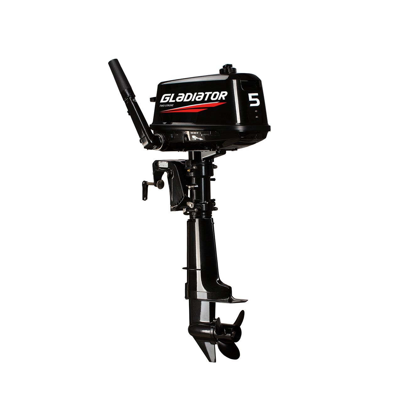 ЛОДОЧНЫЙ МОТОР GLADIATOR G5FHS в Ижевске