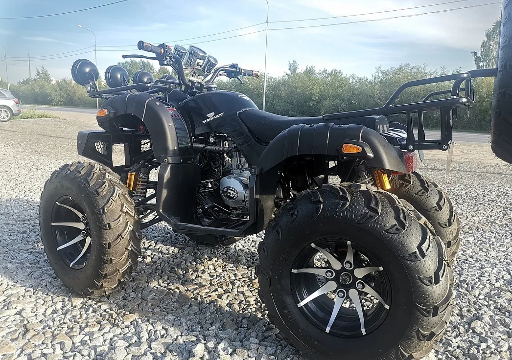 Квадроцикл PROMAX LEO 300 Max (кардан) в Ижевске