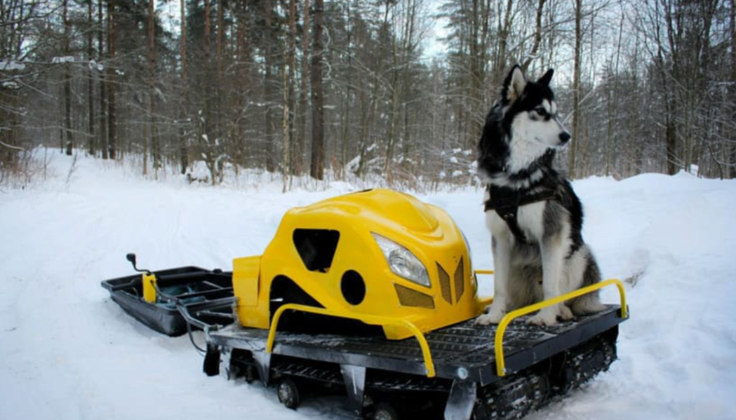 Мотобуксировщик LEBEDEV MOTORS ВОЛКОДАВ POWER V13 в Ижевске