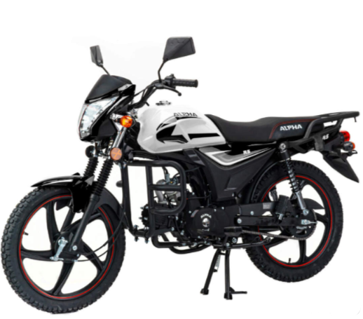 Мопед MOTOLAND (МОТОЛЕНД) Альфа RS 11 (LM48-B) в Ижевске