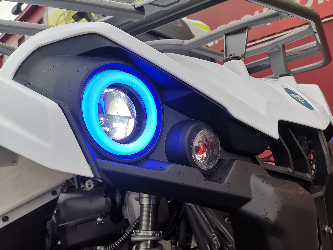 Квадроцикл PROMAX RENEGADE 280 LUX (2025) в Ижевске