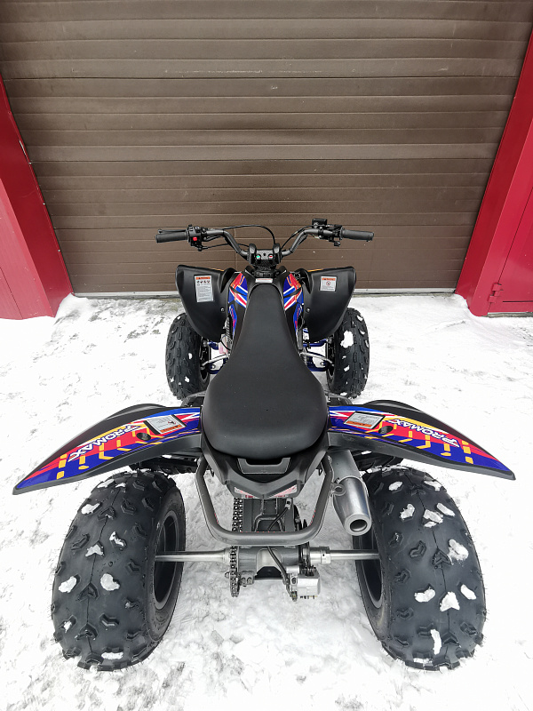 Квадроцикл PROMAX RAPTOR 300 NEW RedBull в Ижевске