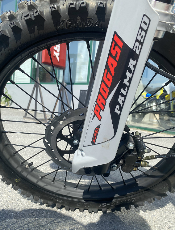 Мотоцикл Progasi PALMA 300 NEW (CB300F) в Ижевске