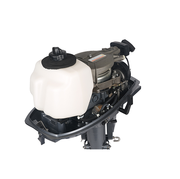 ЛОДОЧНЫЙ МОТОР ALLFA CG T5 в Ижевске