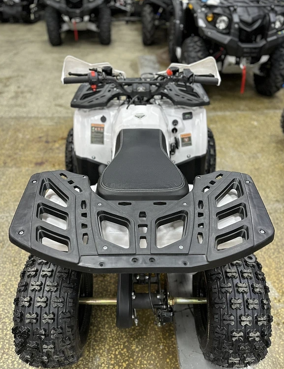 Квадроцикл PROMAX WILD 2.0 190 в Ижевске