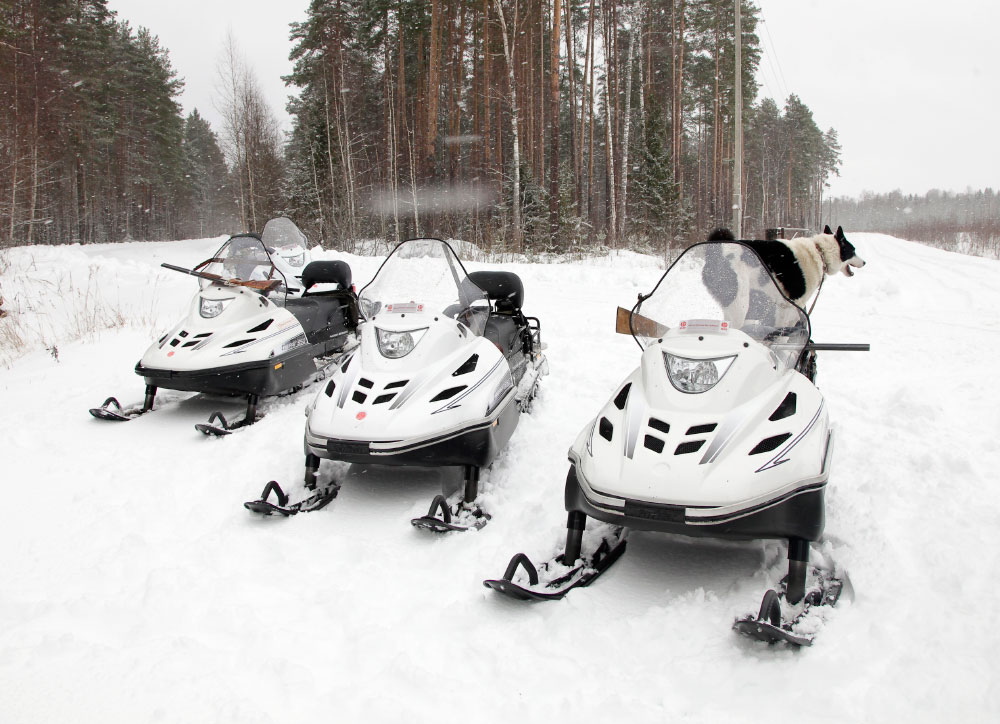 СНЕГОХОД РМ ТАЙГА ВАРЯГ 550 V в Ижевске