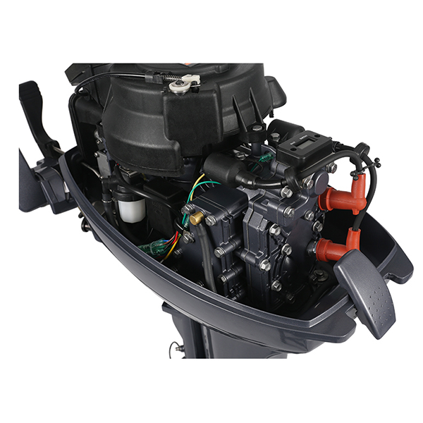 ЛОДОЧНЫЙ МОТОР ALLFA CG Т9,9 Limit в Ижевске