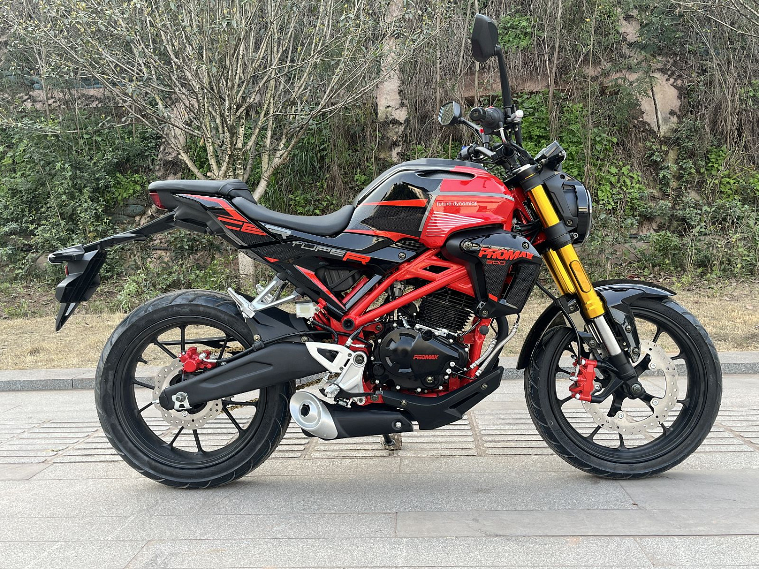 Мотоцикл PROMAX CB300 в Ижевске