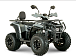 Квадроцикл YACOTA DRAGON LUX LD 150 PRO-SPORT в Ижевске