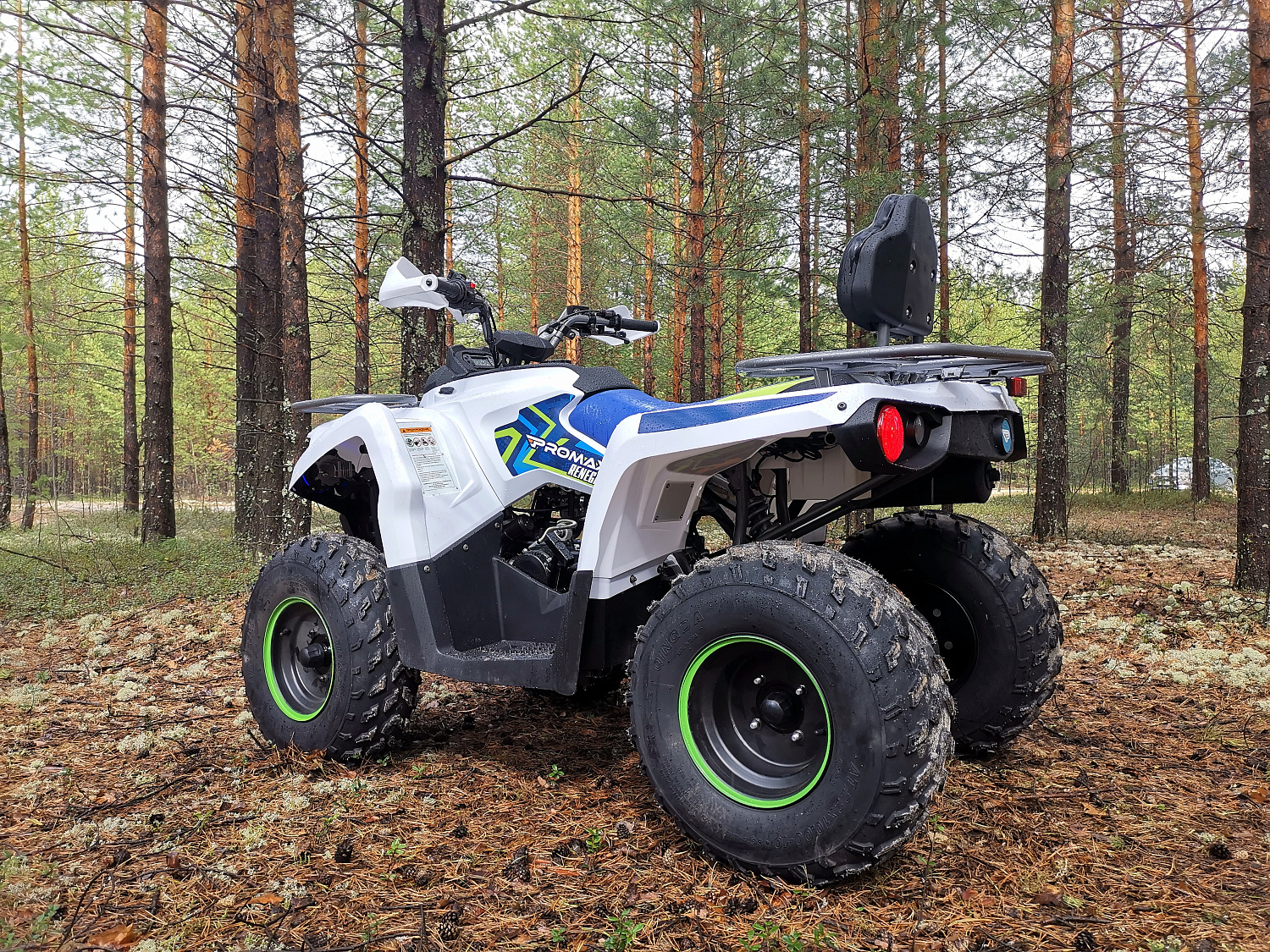 Квадроцикл PROMAX RENEGADE 280 (2025) в Ижевске