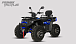 Квадроцикл PROMAX TAURUS 300 MAX-PRO LONG в Ижевске