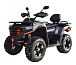 Квадроцикл MOTOLAND (МОТОЛЕНД) 300 MAX X в Ижевске