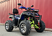  Квадроцикл PROMAX ATV 250 MAX (2025) в Ижевске