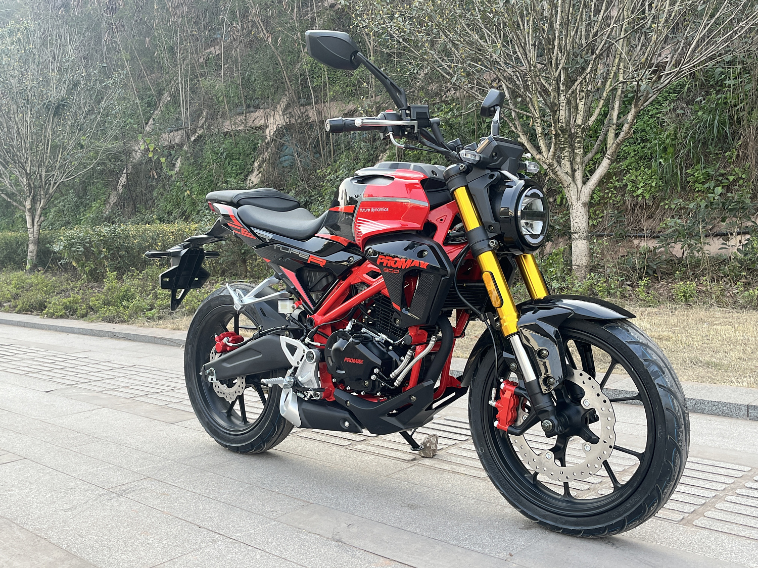 Мотоцикл PROMAX CB300 в Ижевске